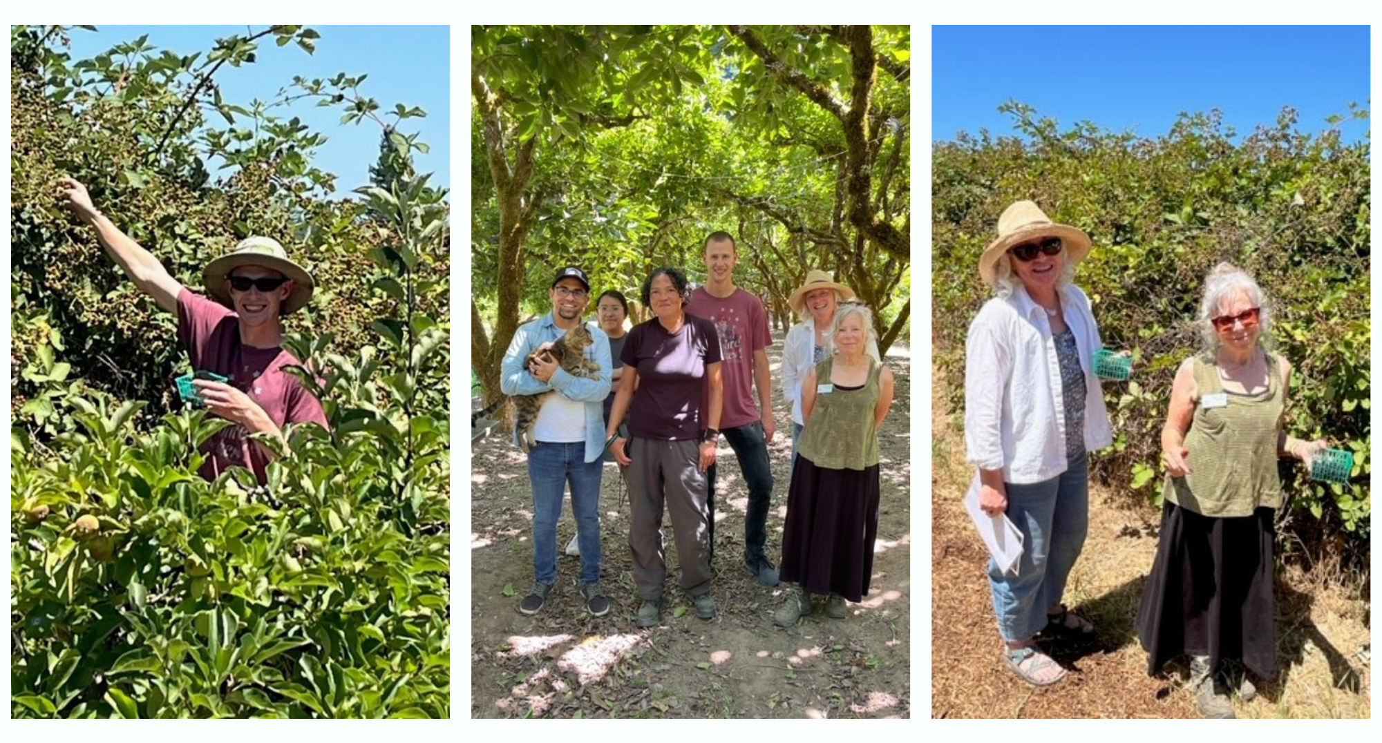 A collage of three pictures at Earthseed. Commissioners exploring the land and posing for pictures