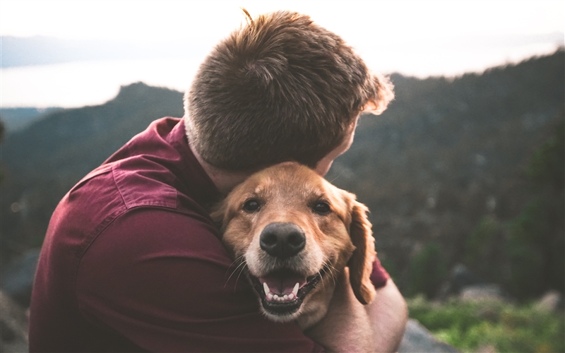 person hugging dog