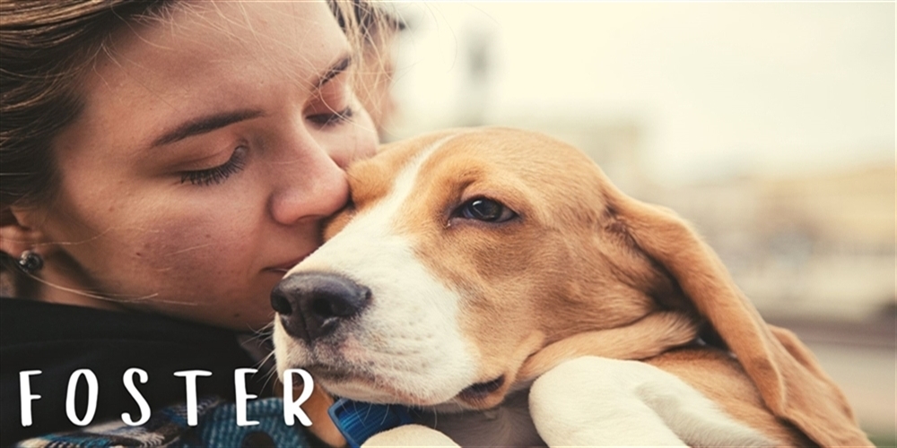 Girl kissing tan and white dog