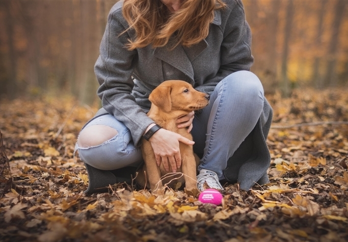 person holding dog