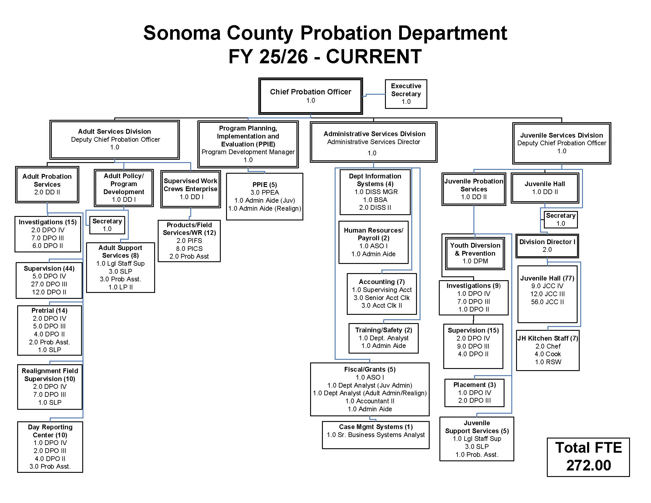 Probation organizational chart full size