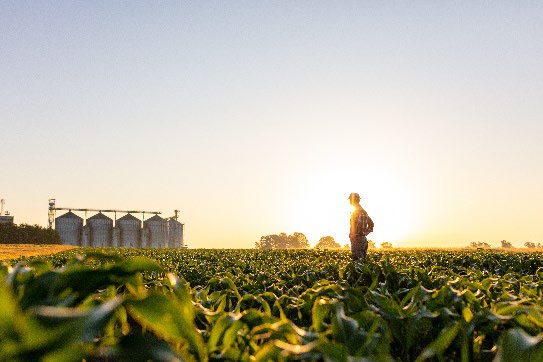 trabajador agrícola de pie en el campo